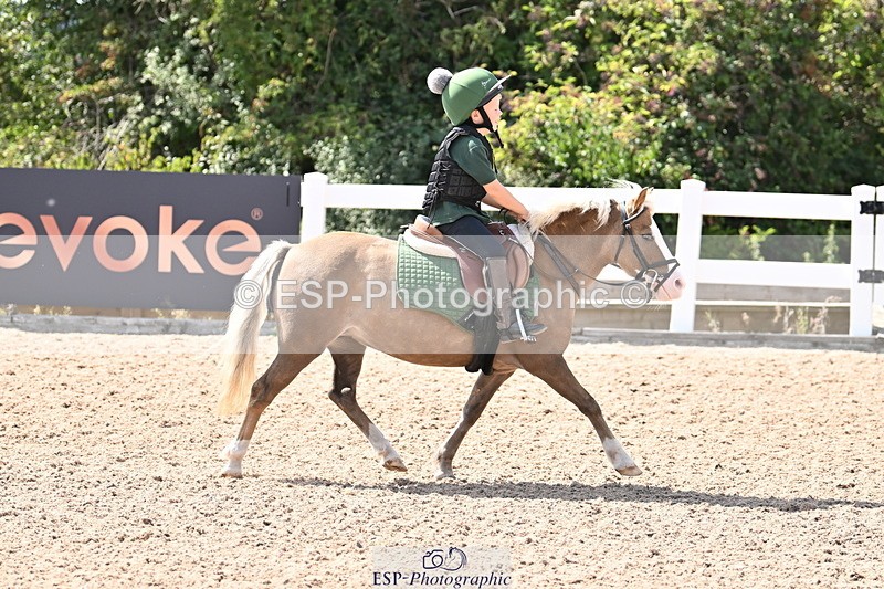 250821B-142831-00775 - Group D - Thomasina