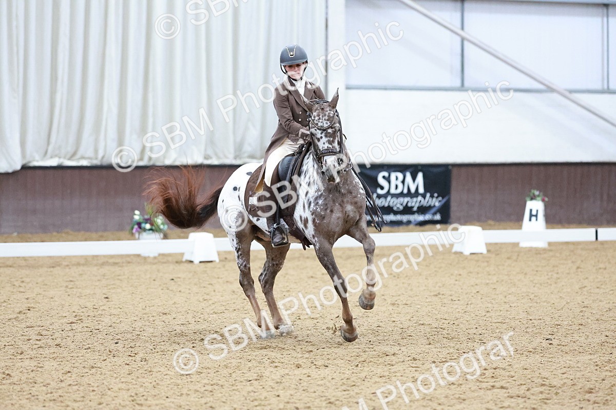 SBM_021399 - Class 14 - FEI Grand Prix - 17.40-18.34
