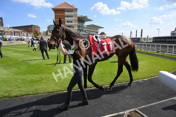  - Race 3 2.40pm The Matchbook Betting Podcast Hambleton Stakes
