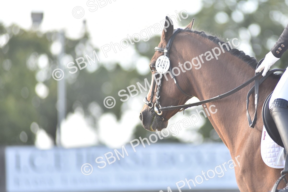 SBM_53255 - D24 - Junior Championship Prelim 3