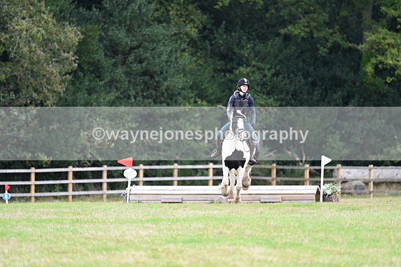 WJ7_7773 - 40cm Time 10:49 to 11:18