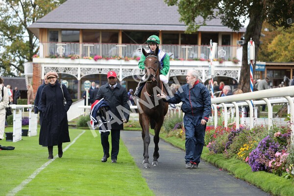 yr07102022r2-37 - Race 2 2.40pm William Hill Autumn Mile