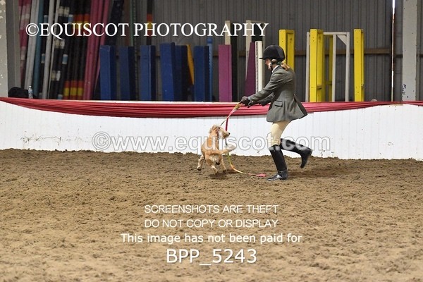 BPP_5243 - CLASS 5 HORSE AND HOUND