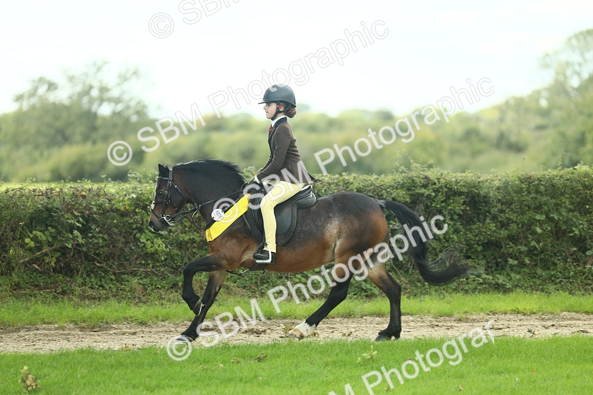 SBM_44944 - Working Hunter Pony Supreme Championship