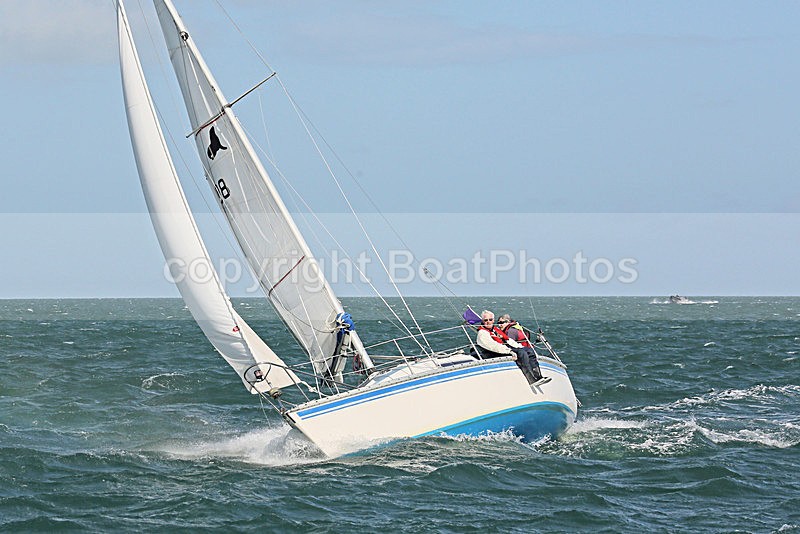 160702 108 - ROUND THE ISLAND Y92A4314_e - ROUND THE ISLAND 2016