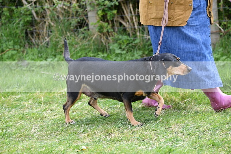 WJ5_9923 - Class 5 Best Veteran / 7 years & over