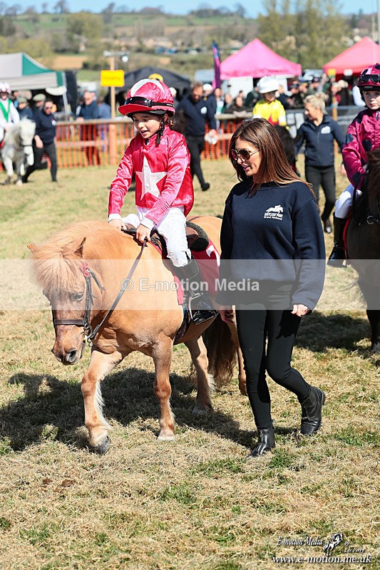 Shet 060426 109 - Shetland Pony Racing Paxford Races Easter Mon 06/04/26
