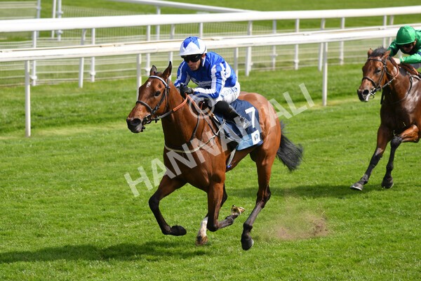 yr13052021r5-15 - Race 5 3.40pm British Stallion Studs EBF Westow Stakes