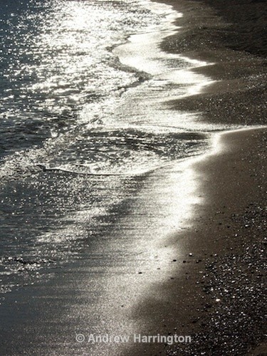 silver tide - Photos 2