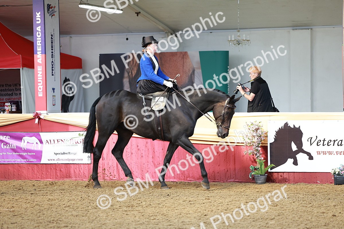 SBM_13600 - Class 105 - Ridden Costume - Side Saddle