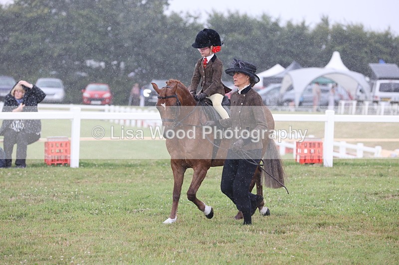 JPP_0372 - Class 14: Cornish Combination Leading Rein