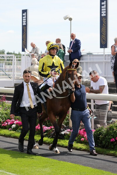 yr08072022r3-6 - Race 3 3.15pm William Hill Play Responsibly Irish EBF Novice Fillies Stakes