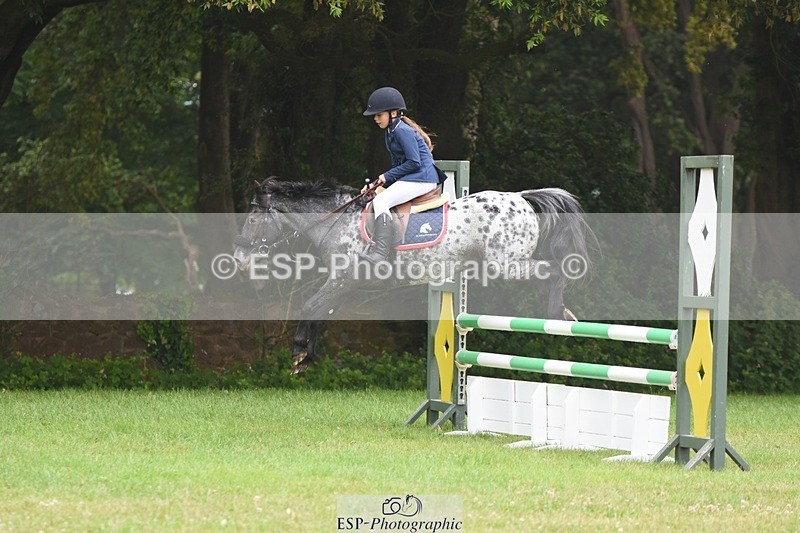 230618-102220-10391 - Cls 28 British Novice & 80cm Open