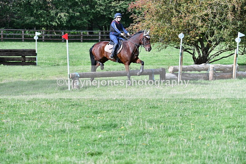 WJ5_7886 - Time 10:31 to 12:01