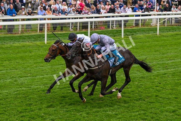 160524-Race 6-Andesite-6693 - Race 6 4.45pm Frank Whittle Partnership ebfstallions.com Novice Stakes