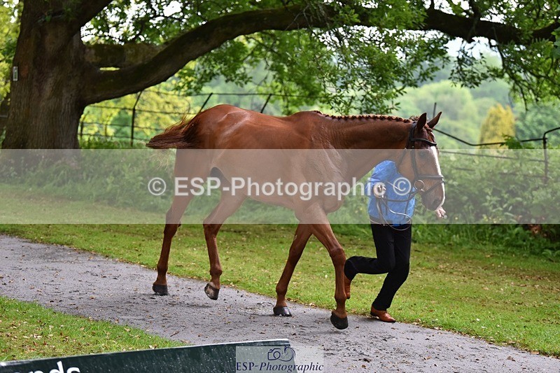 240522-152538-00332 - 351-JUST_PERFECT-Gaspard_Maksud