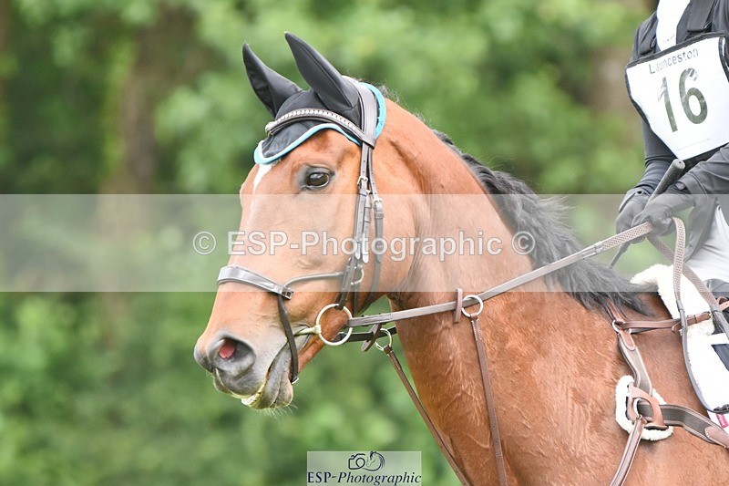 230625-102148-00574 - SJ 90cm  10.05 to 11.10