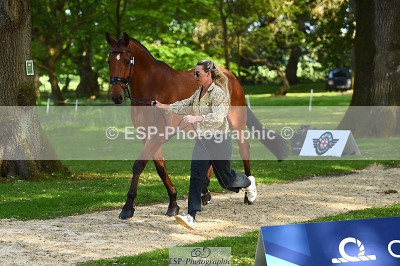 230524-171828-01423 - 177-ARGENTINO_BK-Dani_Evans-WEDTrotUp+DR