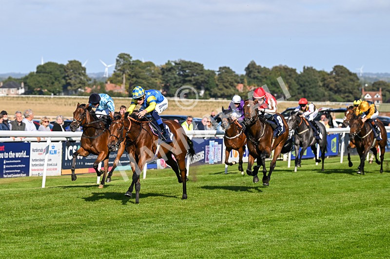 180924-Race 5-Blue Zodiac-4793 - Race 5