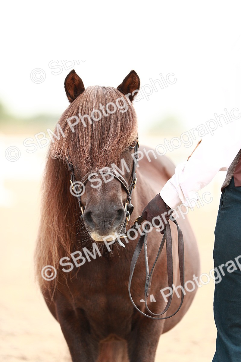 SBM_09551 - Class 201 Best Turned Out IH