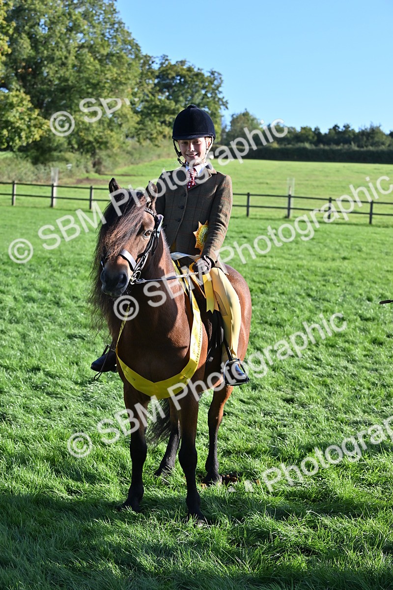 SBM_53074 - S23 - First Ridden Mountain & Moorland Pony