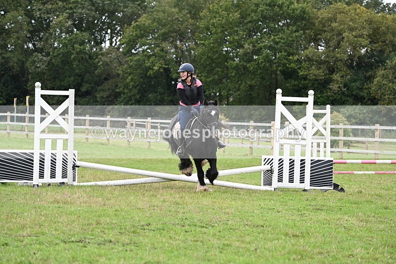 WJ6_0541 - 40cm Time 10:29 to 10:52