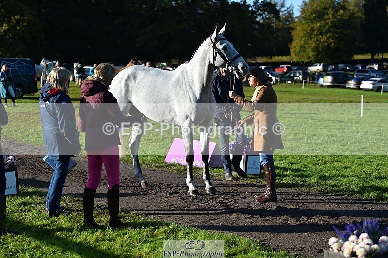 231022-095340-22094 - 630-ST.TROPEZ-Lizzie.Luxton-TrotUp+SJ