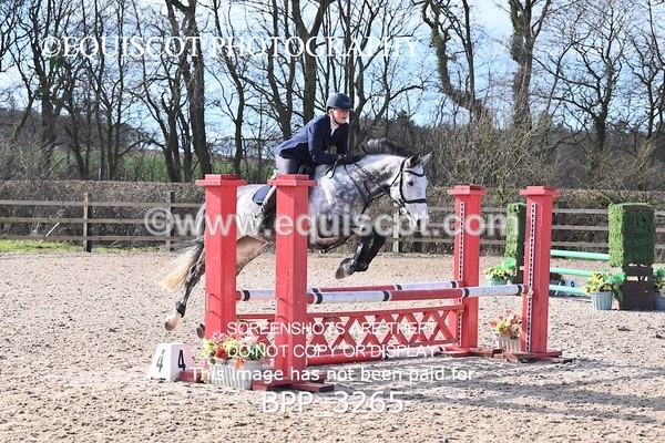 BPP_3265 - CLASS 2  Club/ Unaffiliated 80cms Open