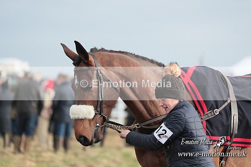 PtP 311223 372 - Larkhill Racing Club Point-to-Point 31/12/23