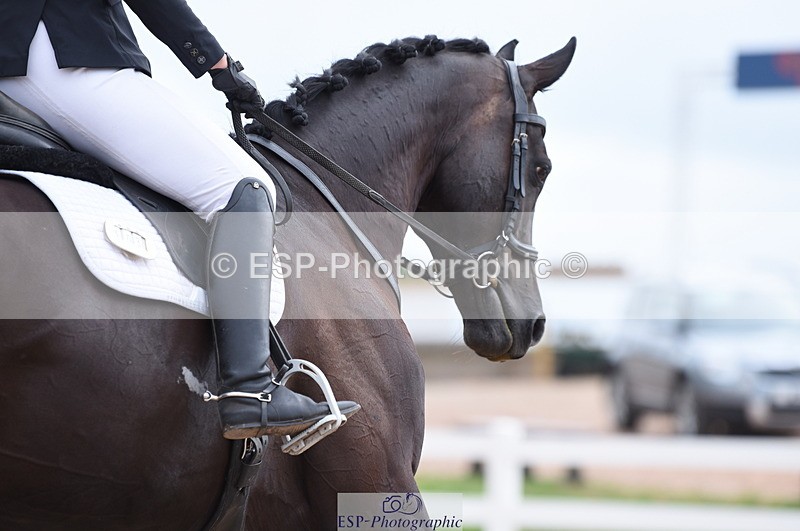 230701A-100504-04287 - Cls 2 Intro B