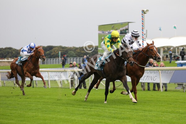 yr07102022r1-26 - Race 1 2.05pm Parsonage Hotel and Cloisters Spa Stakes