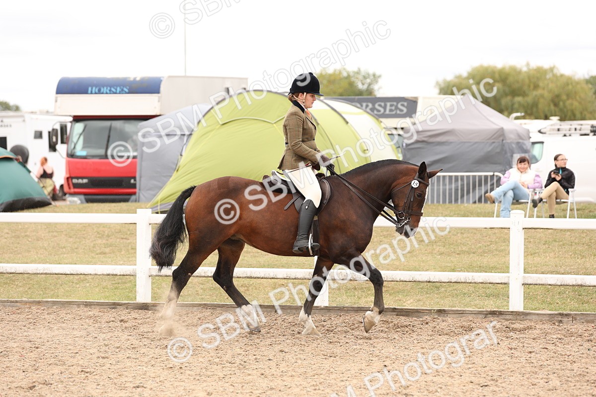 SBM_19493 - Class 215 - Ridden Show cob