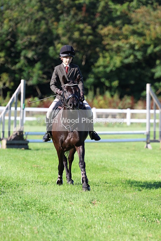 3E7A7491 - Class 1: Novice Working Hunter Pony