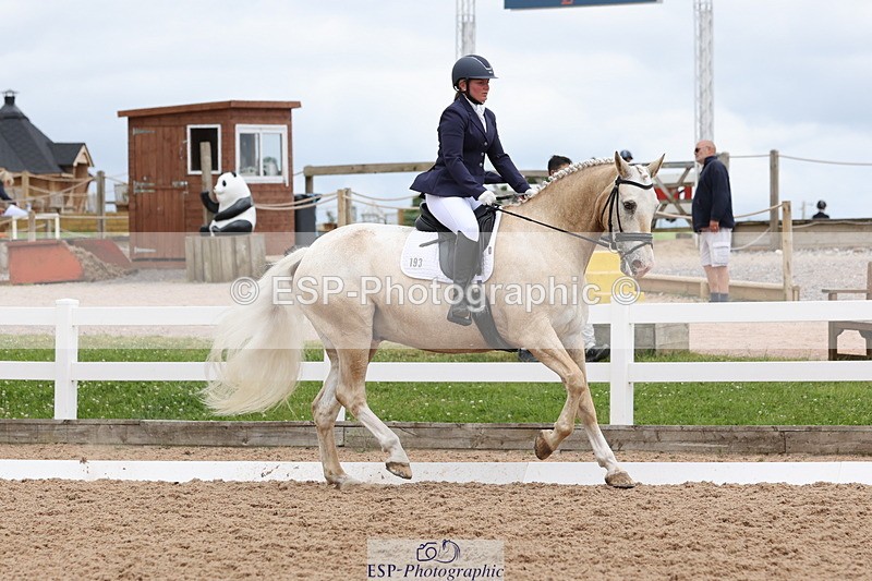 240622A-140805-11919 - Cls 29 BD Elementary 45