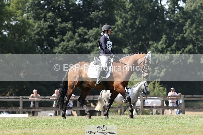 250823A-132503-31302 - Arena D