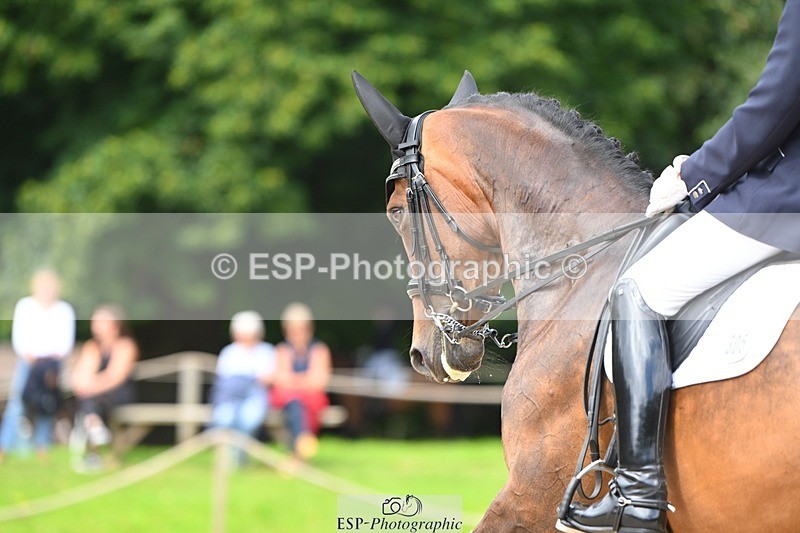 230813-113124-06628 - Cls 12 Elem Silver 10.35 to End