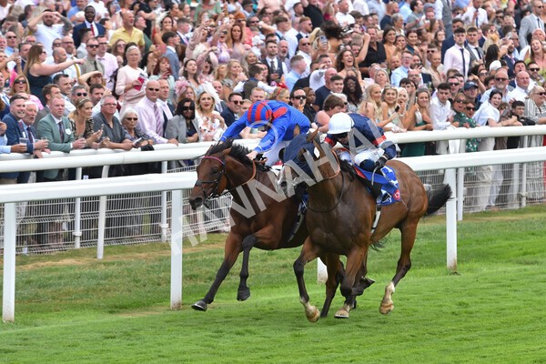 yr23072022r3-32 - Race 3 3.15pm Sky Bet York Stakes