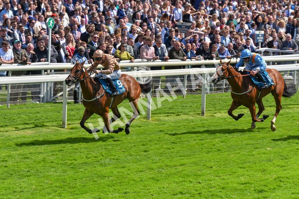 150723-Race 2-Nymphadora-8607 - Race 2 2.35pm John Smith's City Walls Stakes