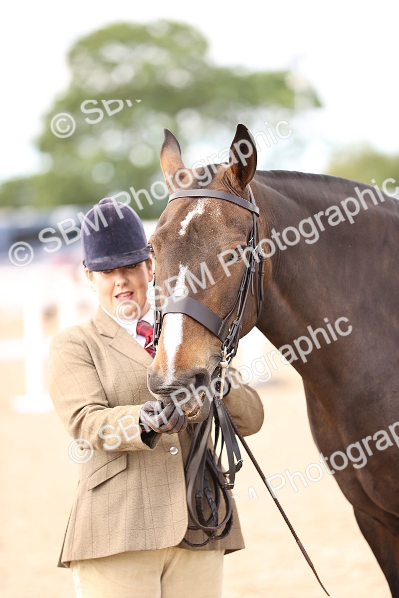 SBM_10373 - Class 405 - IH Show Cob