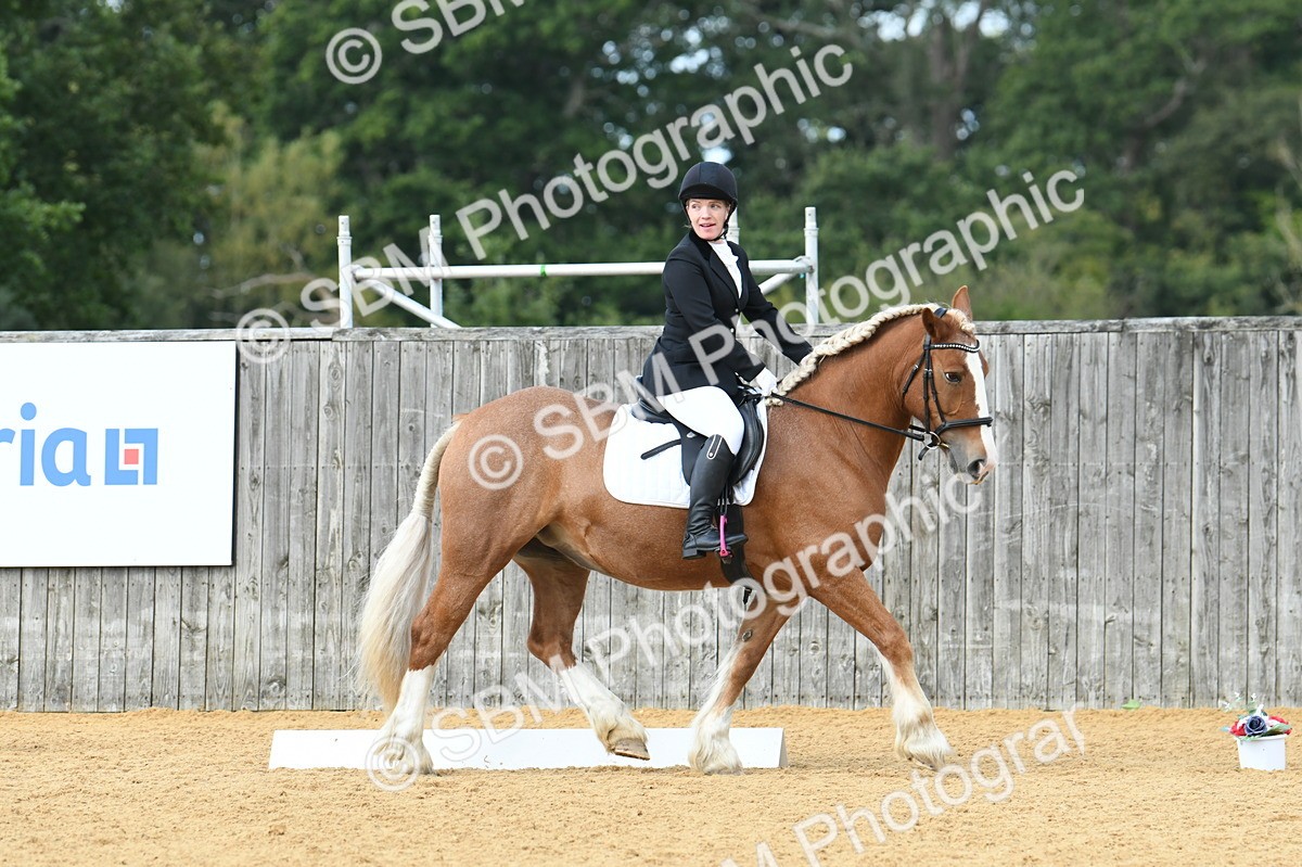 SBM_03100 - D7 Small Tour Championship Prelim 1