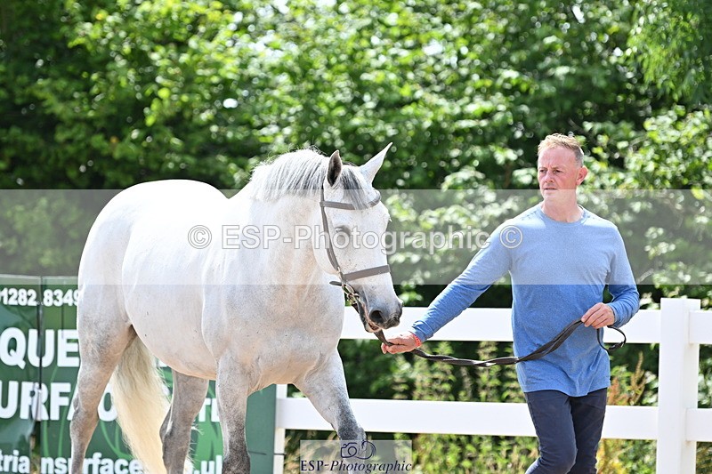 240717A-144903-02316 - Trot Up 2pm to 3pm - This folder is not in time order