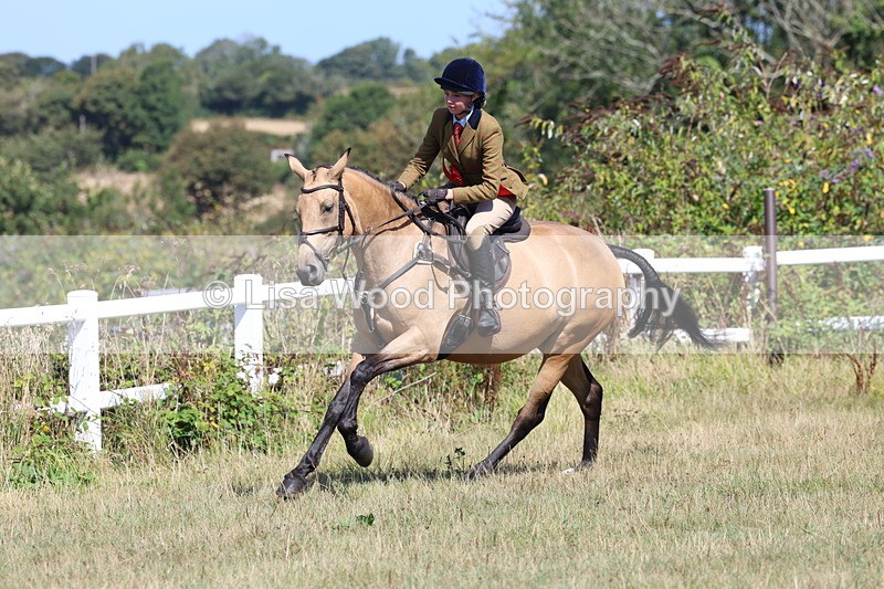 3E7A6415 - Working Hunter Championship