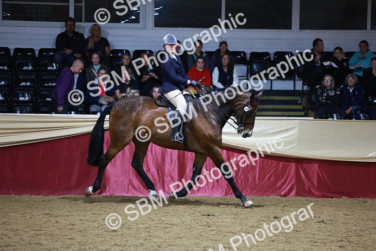 SBM_21153 - class Q - Ridden Horse Champ