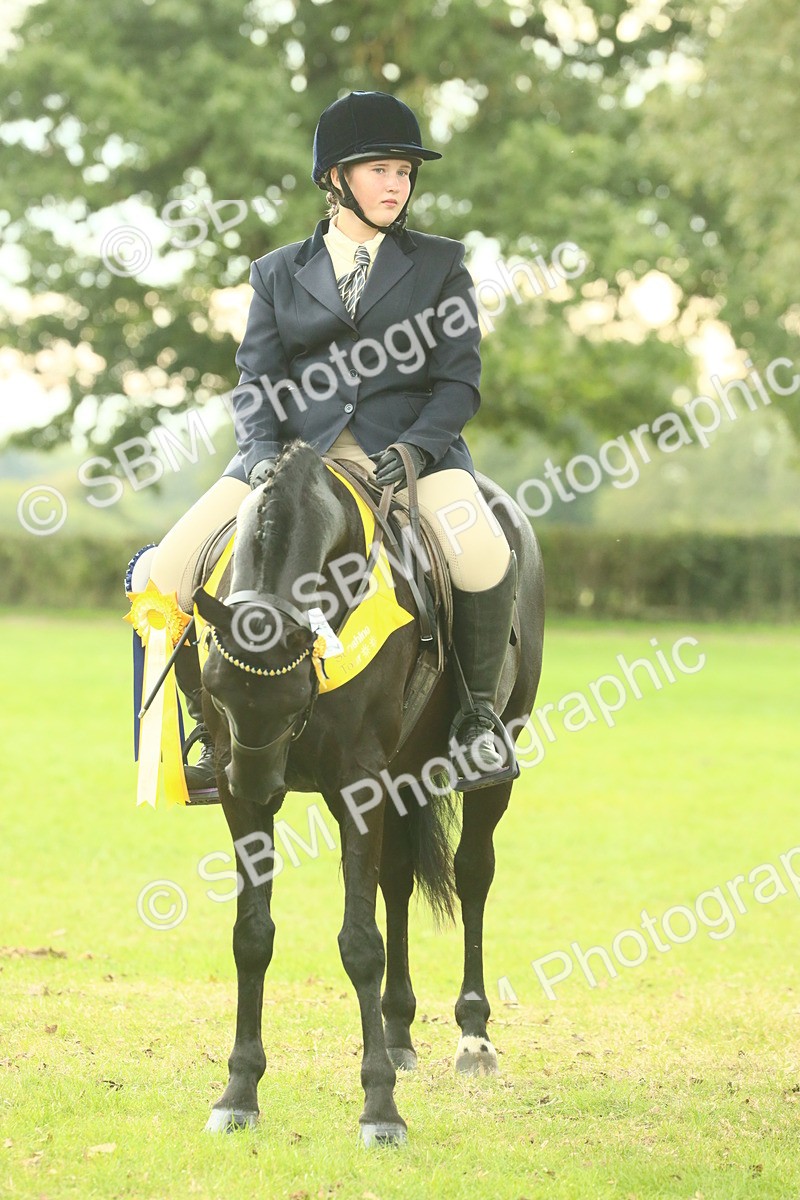 SBM_75119 - Ridden Pony Supreme Championship