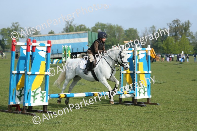 20260426-0118 - Class 13 - Rookie Jumping 50cm