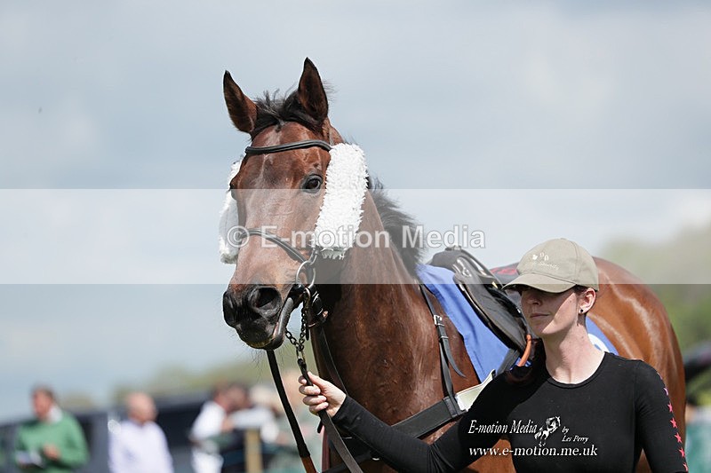 PtP 070523 4 - Kimblewick Races Coronation Meet  Kingston Blount 07/05/23