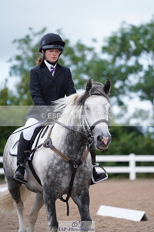 240809A-101148-00462 - Dressage Competition