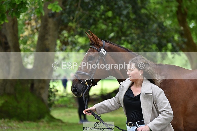 240522-172352-01575 - 279-MHF_LADY-Poppy_von_Maltzahn