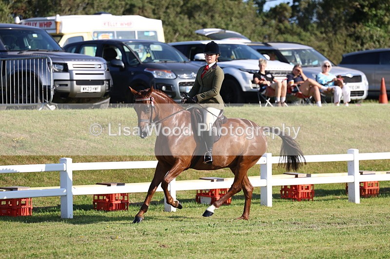 3E7A5067 - Class 1: Rising Star Small Hack/Riding Horses