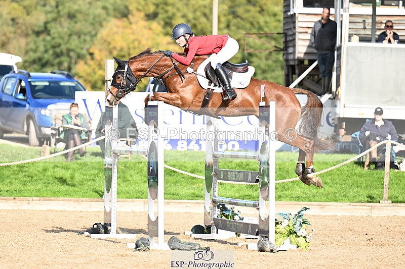 251024A-121601-10284 - C-206-Madison.Tapner